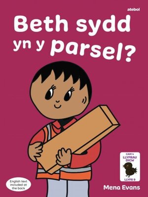 cover image of Llyfrau Hwyl Magi Ann